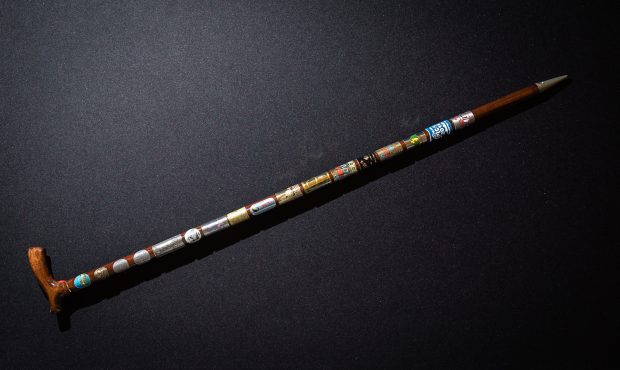 PIC/S walking stick